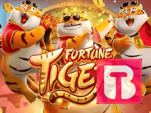 Guia install APK TIMBET BR
